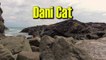 "Dani Cat" - par Saudeaumites - TROUC de Bronze 2016