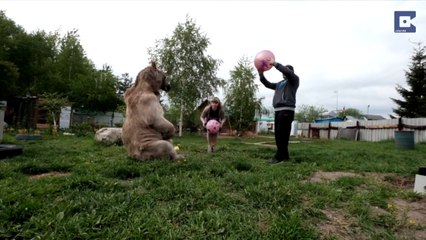 Cette famille russe mange avec un ours tout les midi depuis 23 ans... Surréaliste