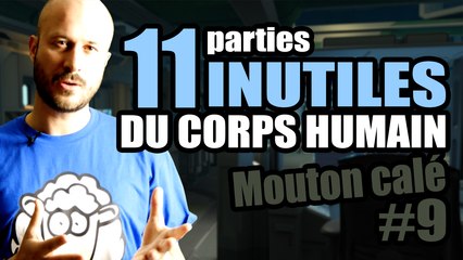11 parties INUTILES du corps humain - Mouton calé #9