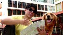 Guide Dog Leads the Way ! - JFL Gags Asia Edition