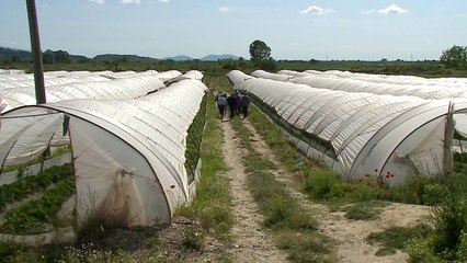 Prilli rrit eksportet, pas 10 muajsh me rënie - Top Channel Albania - News - Lajme