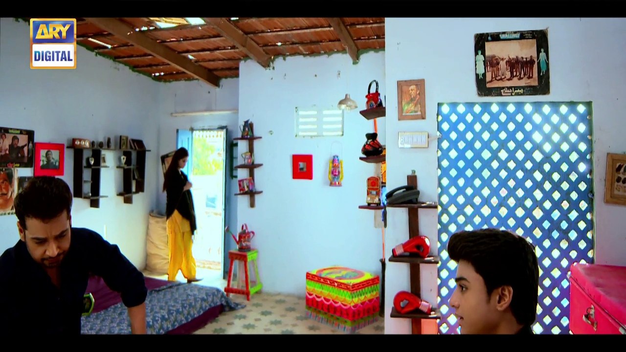 Mera Yaar Miladay Episode 17 on Ary Digital in High Quality 30th May 2016