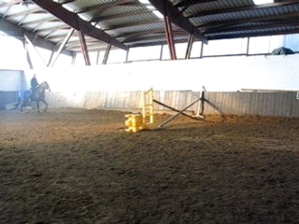 Loiseau obstacle