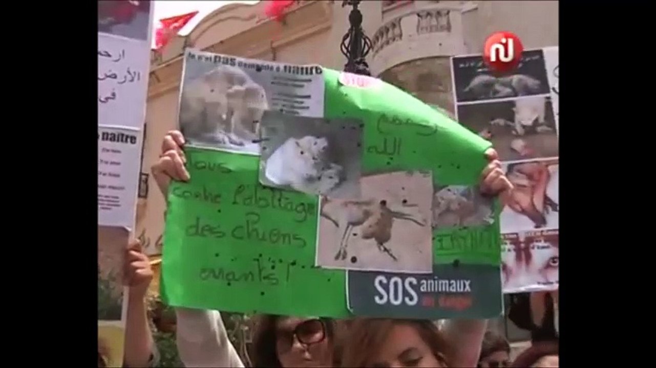 Manif contre l'abattage des animaux errants en Tunisie