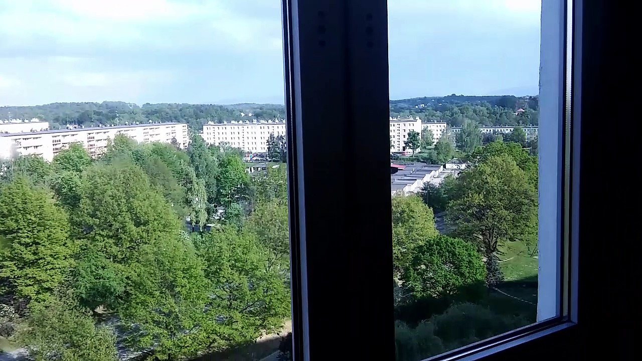 MOV_1815