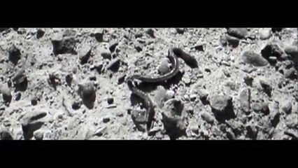 MANSFIELD TYA - AVANT SCÈNE TV 2016