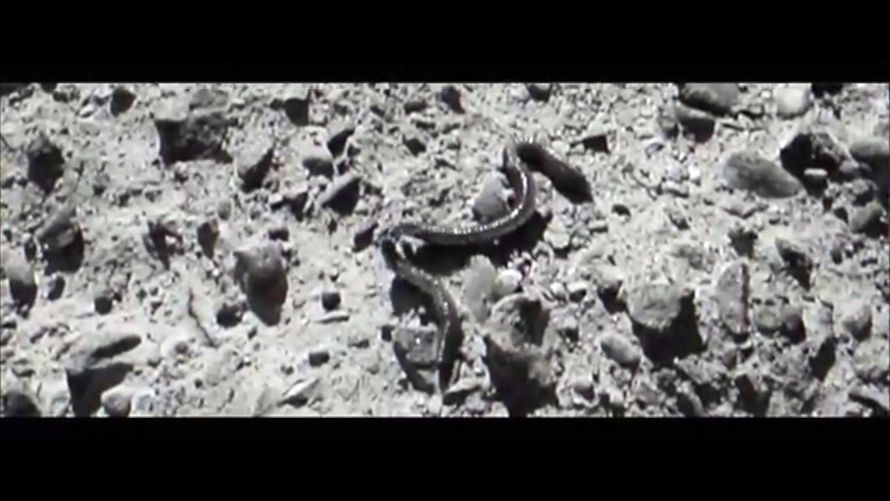 MANSFIELD TYA - AVANT SCÈNE TV 2016