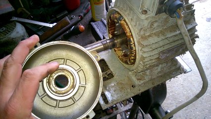 sostituzione cuscinetti motore elettrico