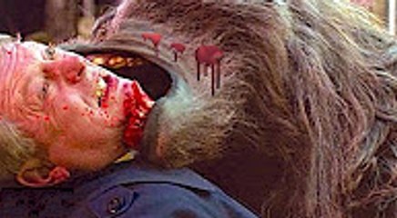 تصوير حقيقى لهجوم الذئاب المفترسة على البشر و الكلاب والجاموس ( معارك الحيوانات الشرسة )