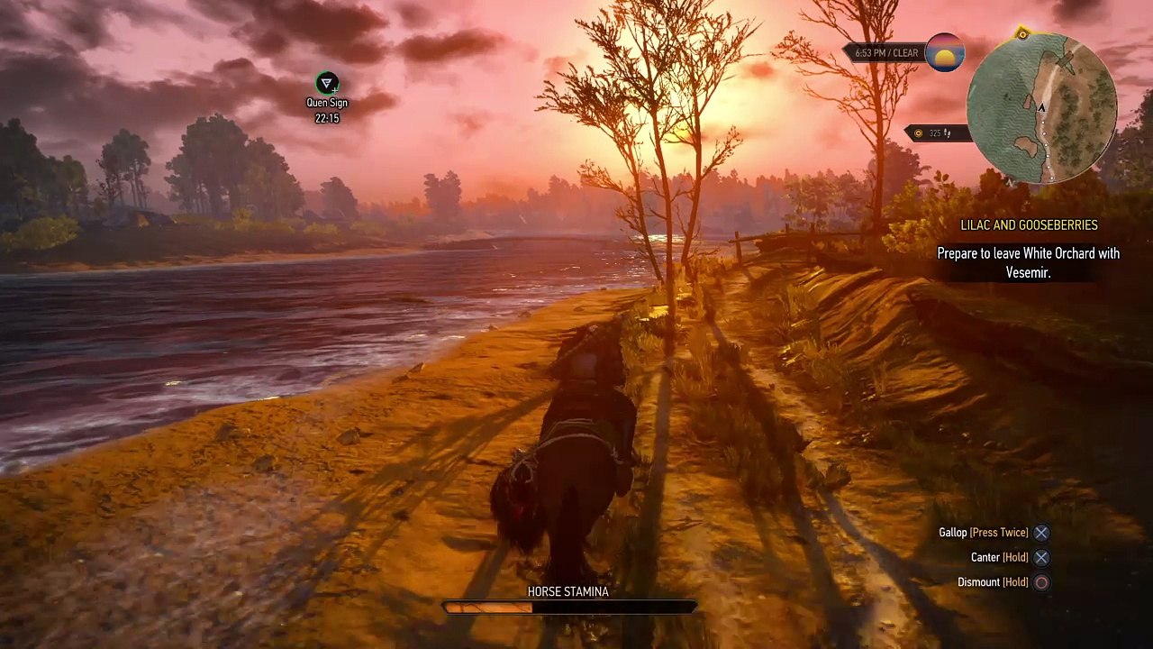 The Witcher 3: Wild Hunt_20160524180817