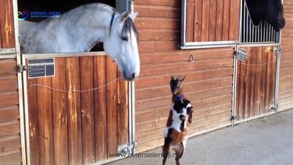 Herşey gönlünüzce olsun