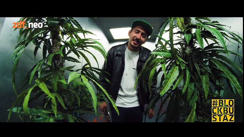 BLOCKBUSTAZ Ganja, Ganja