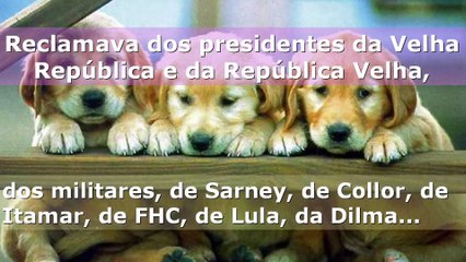 A Culpa É Sua! Um Pouco De Política! Não Reclame, Se informe! Lute Pelo País!