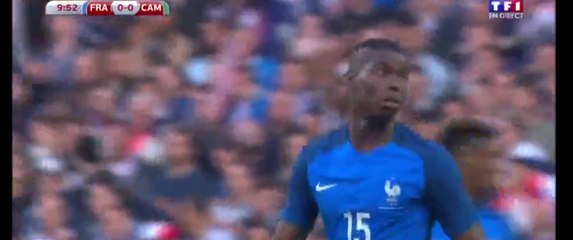 Paul Pogba Goal France 1-0 Cameroon Friendly Match