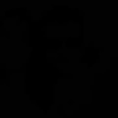 Wayne Lawton The Photo's