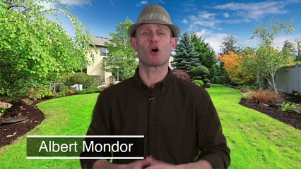 How does PRO-MIX Weed Defense grass seed work? By Albert Mondor