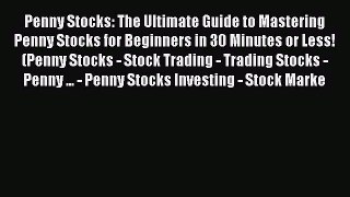 Popular book Penny Stocks: The Ultimate Guide to Mastering Penny Stocks for Beginners in 30