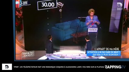 TPMP : Un téléspectateur fait une remarque coquine à Alexandra Lamy, fou rire sur le plateau (Vidéo)