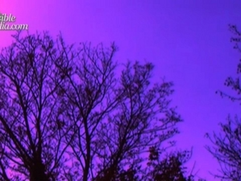 Sensible Media Video Podcast Episode 6 : Idees Recues