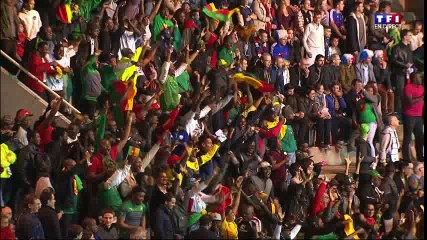 Maxim Choupo-Moting Goal HD - France 2-2 Cameroon - 30-05-2016 Friendly Match