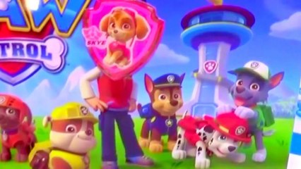 Paw Patrol Toys Rescue Nickelodeon Magnets & Lunch BOX for kids