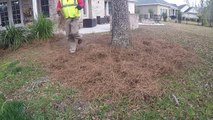 Lawn Care in Savannah GA #7 by Blades of Grass Lawn Care, LLC