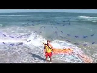 O perigo fatal que está escondido nas praias este Verão! Todos devem ter conhecimento!