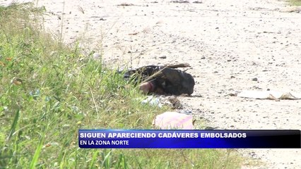 Siguen apareciendo cadáveres embolsados en la Zona Norte