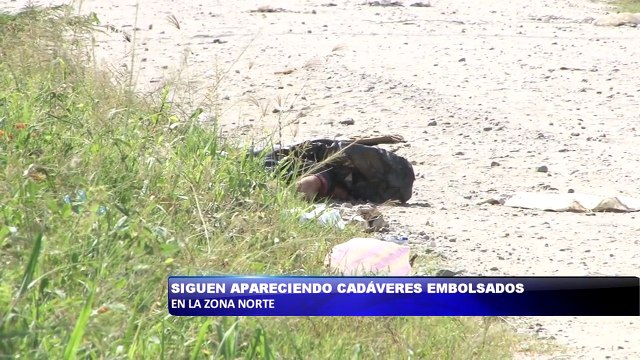 Siguen apareciendo cadáveres embolsados en la Zona Norte