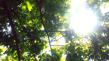 Minişler: POFU Fragman | LPSEM miniş