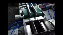 soft tube cartoning machine for shoe polish with feeding system Máquina empaquetadora automática