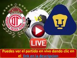 Ver Pumas UNAM vs Toluca 17 enero 2016 1200 Hrs Liga MX Clausura 2016 Jornada 2 Estadio Olímpico Uni