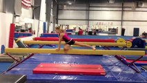 Hanna Carmon - Level 10 Gymnast Integrity Gymnastics, 2016 Graduate