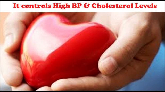 Health Benefits of Bottle Gourd Juice Lauki Juice for weight loss, High BP, Cholesterol