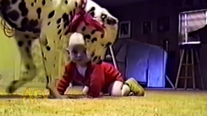 Cute Dogs And Adorable Babies  A Compilation