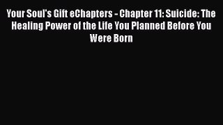 Read Your Soul's Gift eChapters - Chapter 11: Suicide: The Healing Power of the Life You Planned