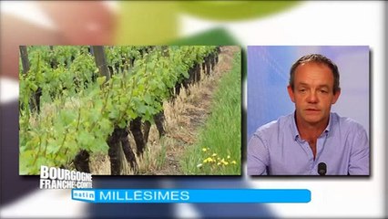 Arbois a fêté le 80ème anniversaire de son AOC