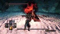 Dark Souls 2 - Crown Of The Old Iron king NG : Fume Knight