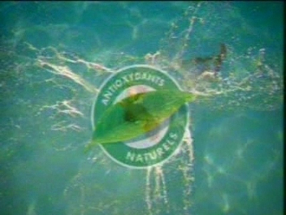 Nouvelle Pub Lipton Ice Tea