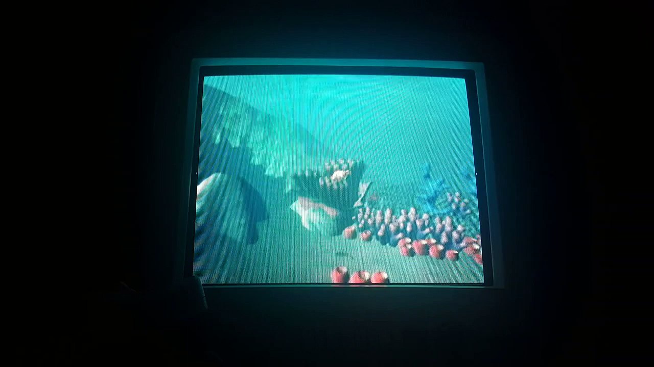 Finding Nemo Videogame: 100% Bonus