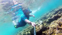 GoPro Snorkeling  Red Sea Arabian Sea Jeddah Saudi Arabia