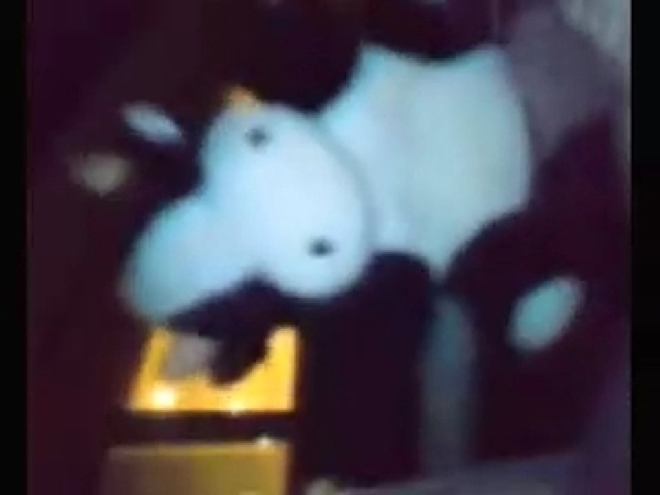 Myspace cow