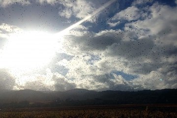 와이즈토토 SuperCAR123.COM 가입코드: 6623 해외양방사이트