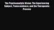 Read The Psychoanalytic Vision: The Experiencing Subject Transcendence and the Therapeutic