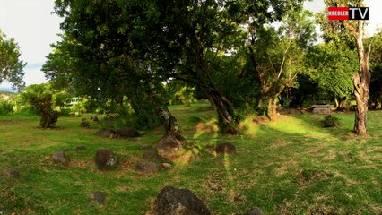 Association KRTW -Destination le SUD de la Réunion.