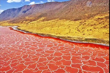 Natron lake en Tanzania