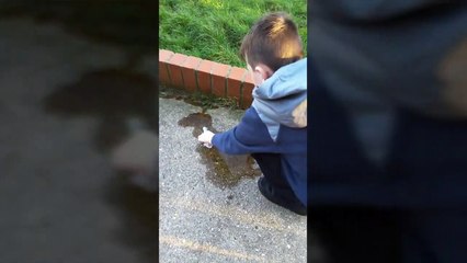 Toxit waste and coke and mentos challenge