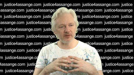 Julian Assange, l'interview exclusive en intégralité - Le 31/05/2016 à 08h15