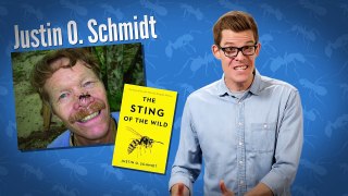 Inside the World of Fire Ants! - YouTube