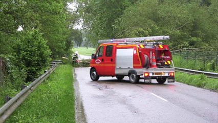 Paillart : un arbre tombe sur la route